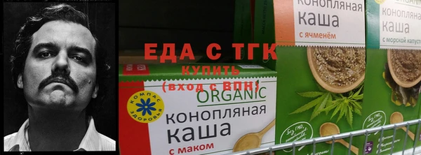 apvp Верея