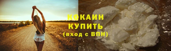 apvp Верея
