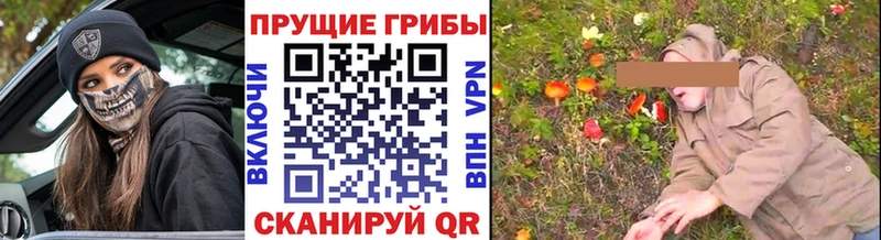 Псилоцибиновые грибы Magic Shrooms  мега сайт  Воронеж 